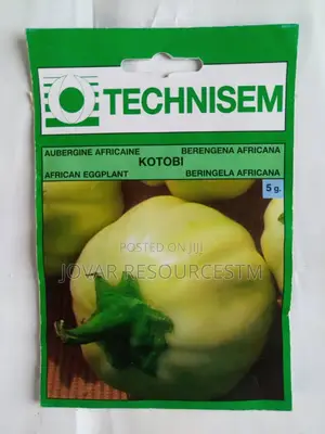 Best Garden Egg / Eggplant Seeds
