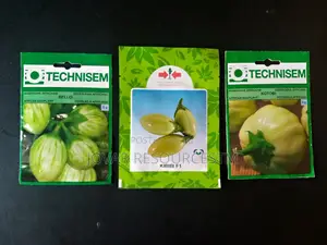 Best Garden Egg / Eggplant Seeds