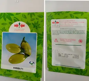 Best Garden Egg / Eggplant Seeds