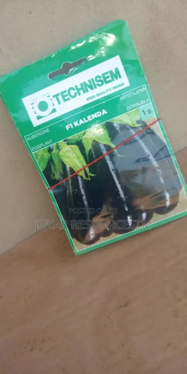 Best Garden Egg / Eggplant Seeds
