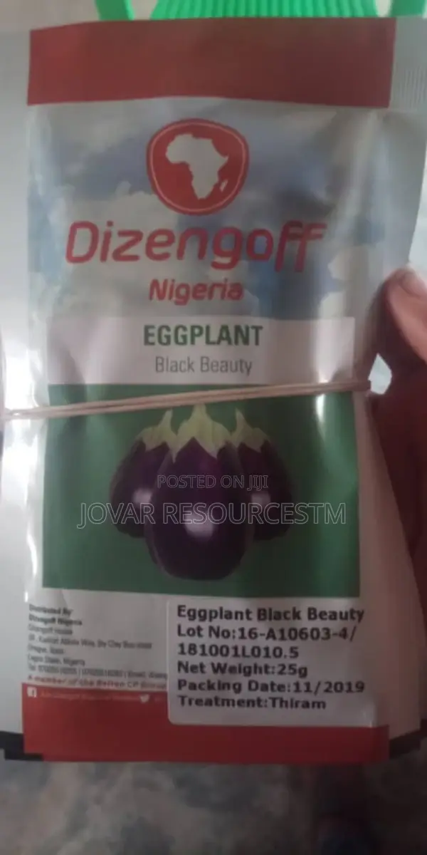 Best Garden Egg / Eggplant Seeds