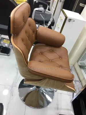Executive Salon Chair