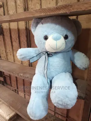 Fluffy Teddy Bear