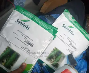 Best Improved Cucumber Seeds