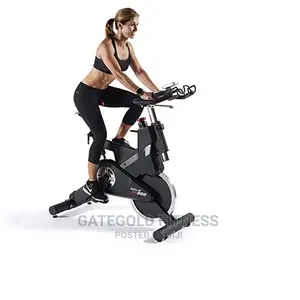 SB900 Sole Spin Bike (2016 Model)
