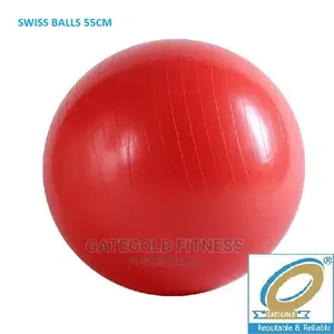 Swb55 Swiss Balls 55cm