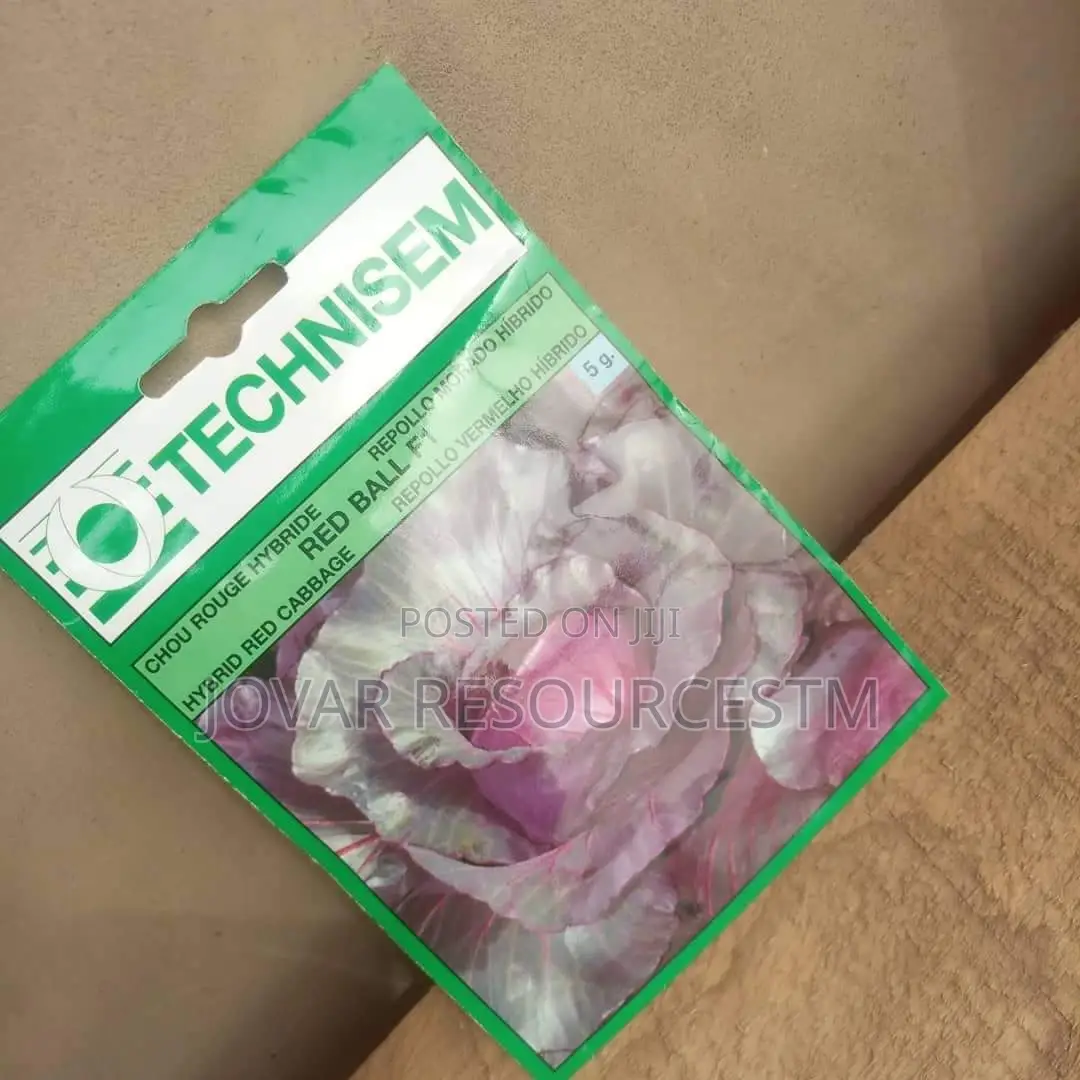 Best Herbs Seeds