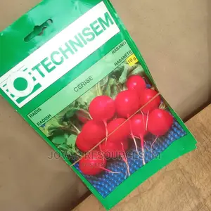Best Herbs Seeds
