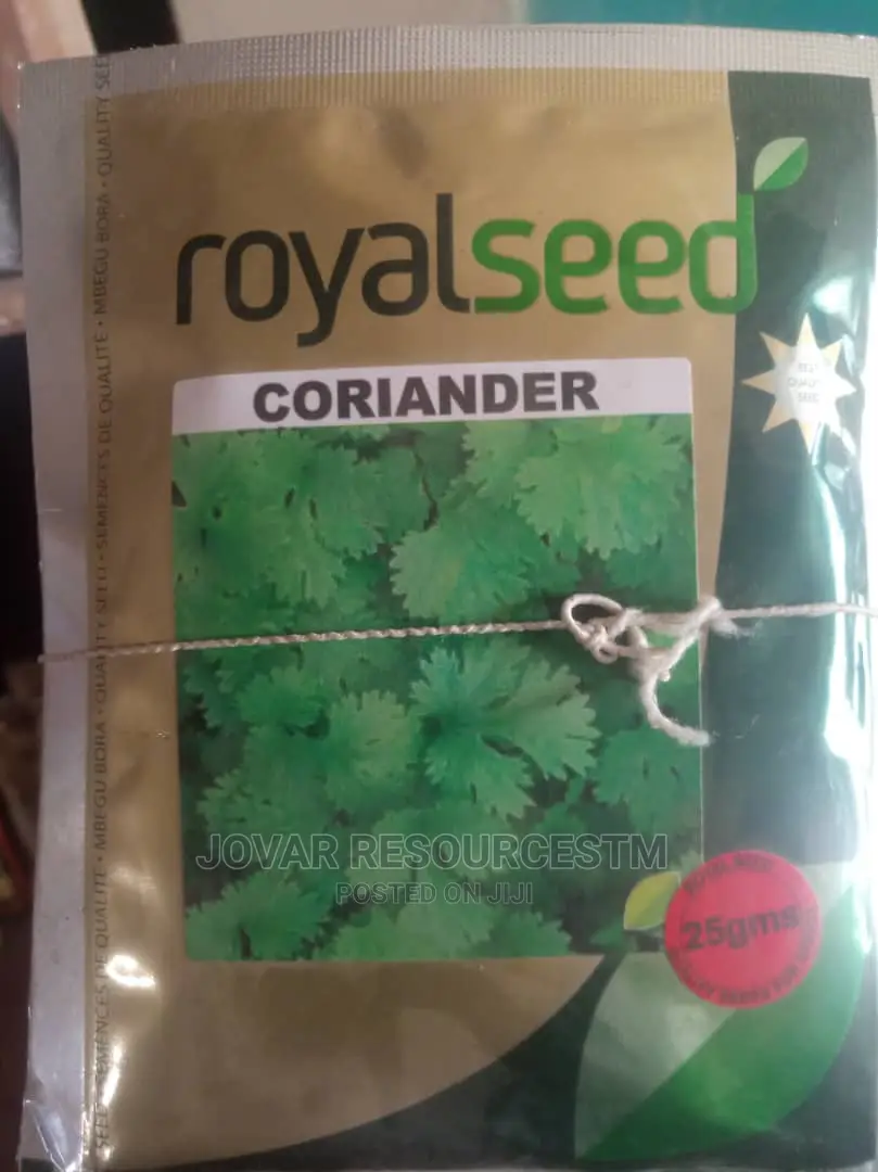 Best Herbs Seeds