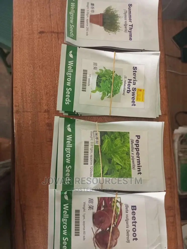 Best Herbs Seeds
