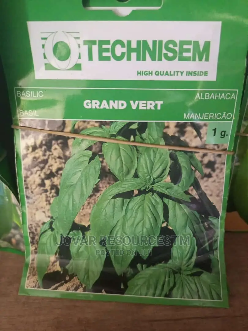 Best Herbs Seeds