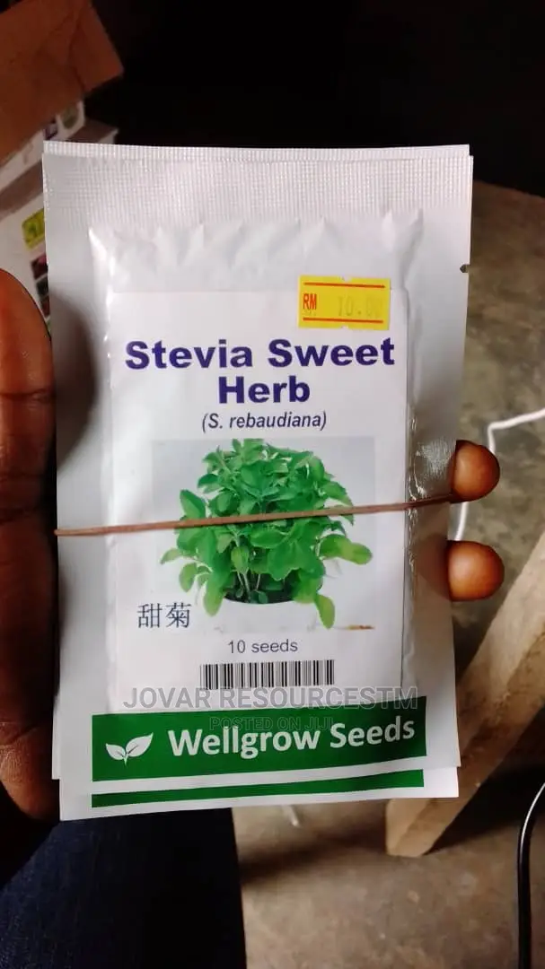Best Herbs Seeds