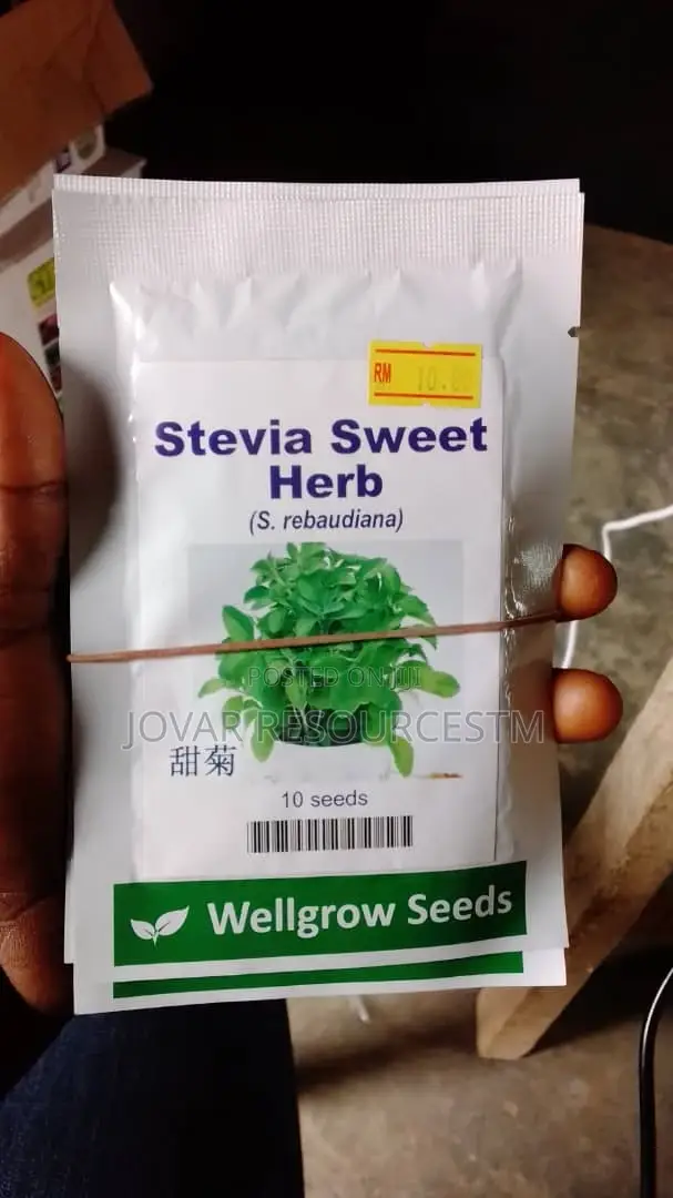 Best Herbs Seeds