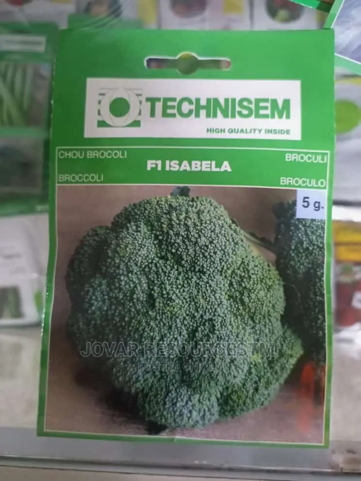 Best Herbs Seeds