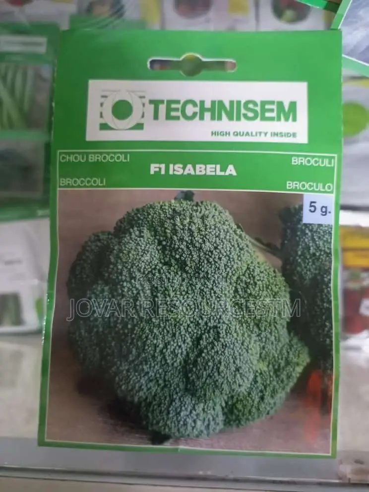 Best Herbs Seeds