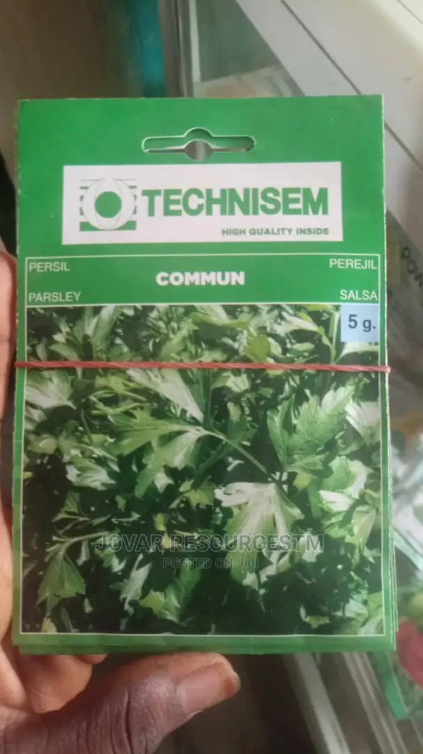 Best Herbs Seeds