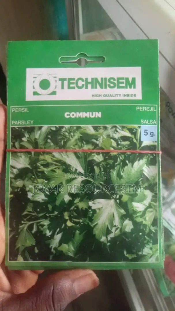 Best Herbs Seeds