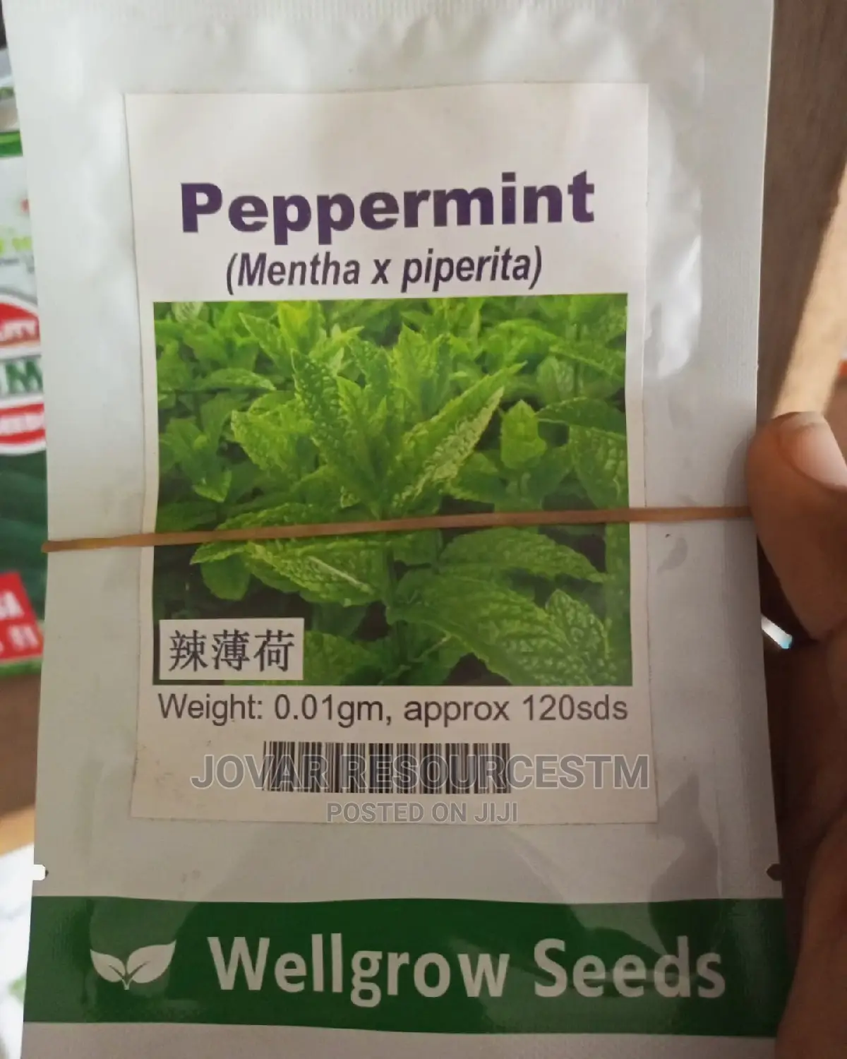 Best Herbs Seeds