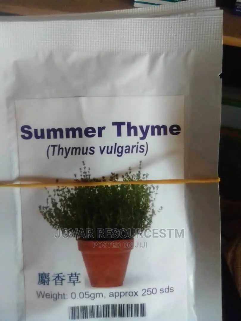 Best Herbs Seeds