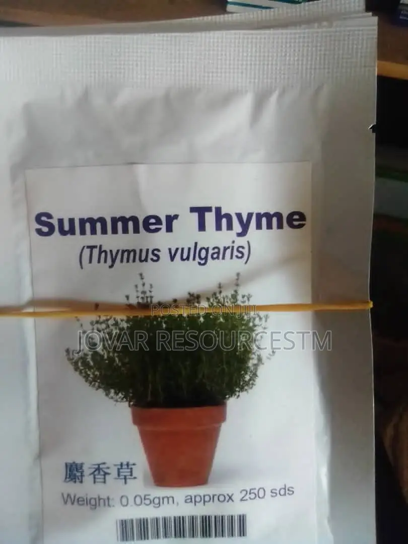 Best Herbs Seeds
