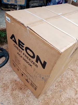 Standard Made Aeon Chest Freezer (300gk) Silver
