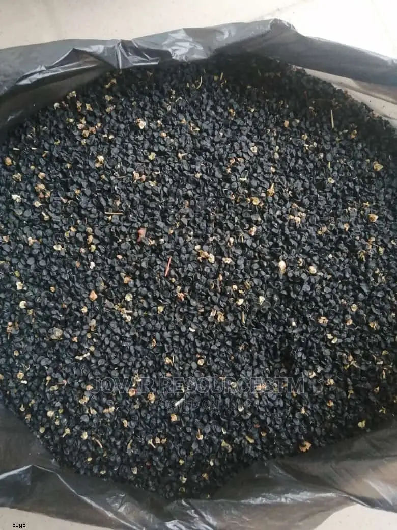 Best Onion Seeds