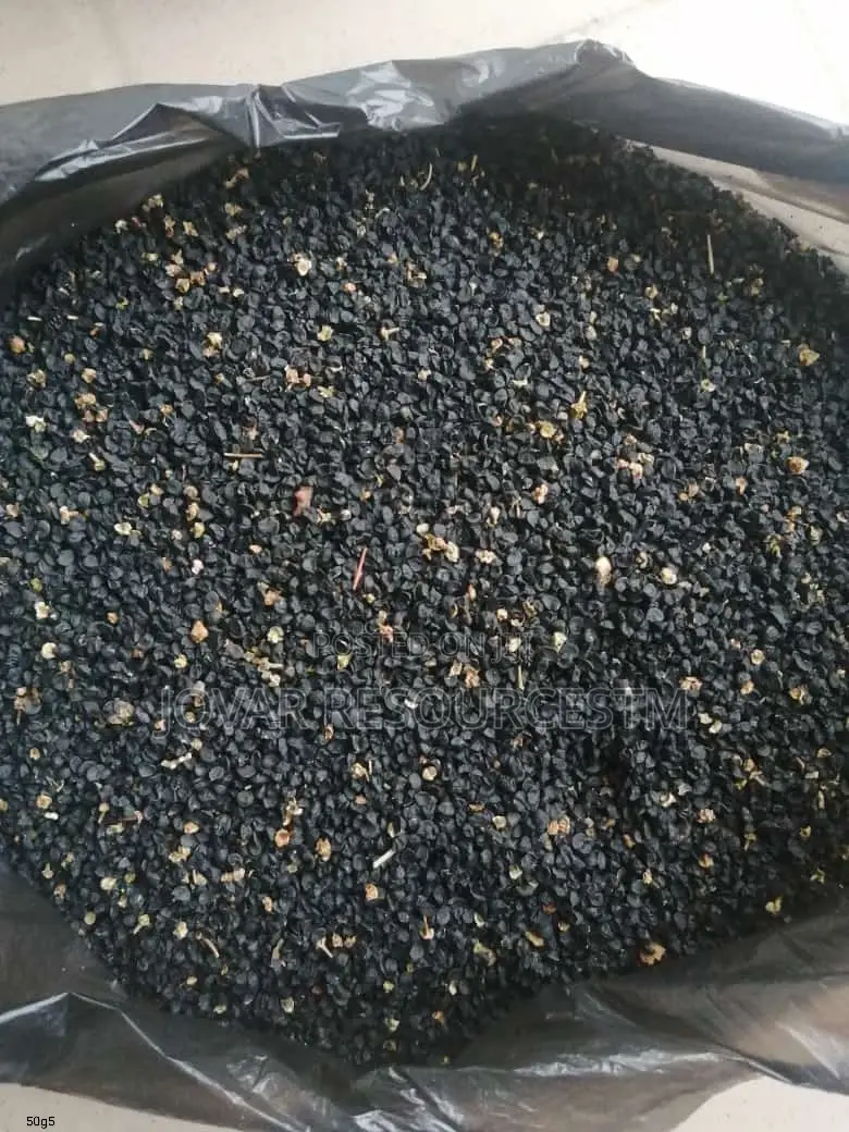 Best Onion Seeds