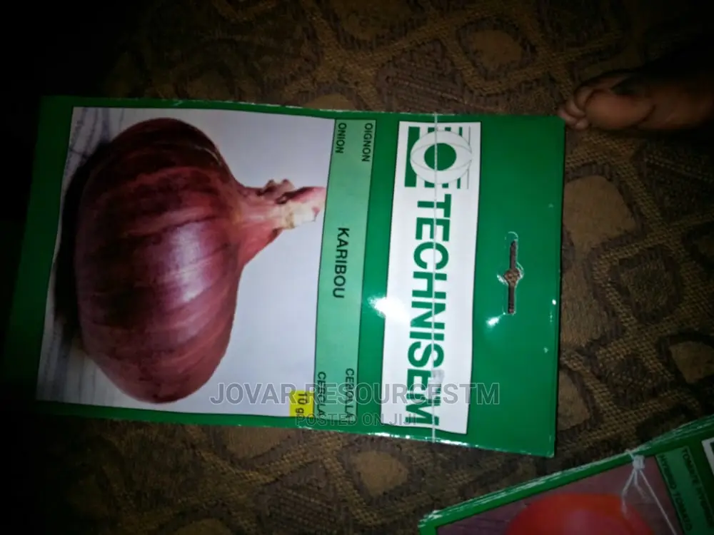 Best Onion Seeds