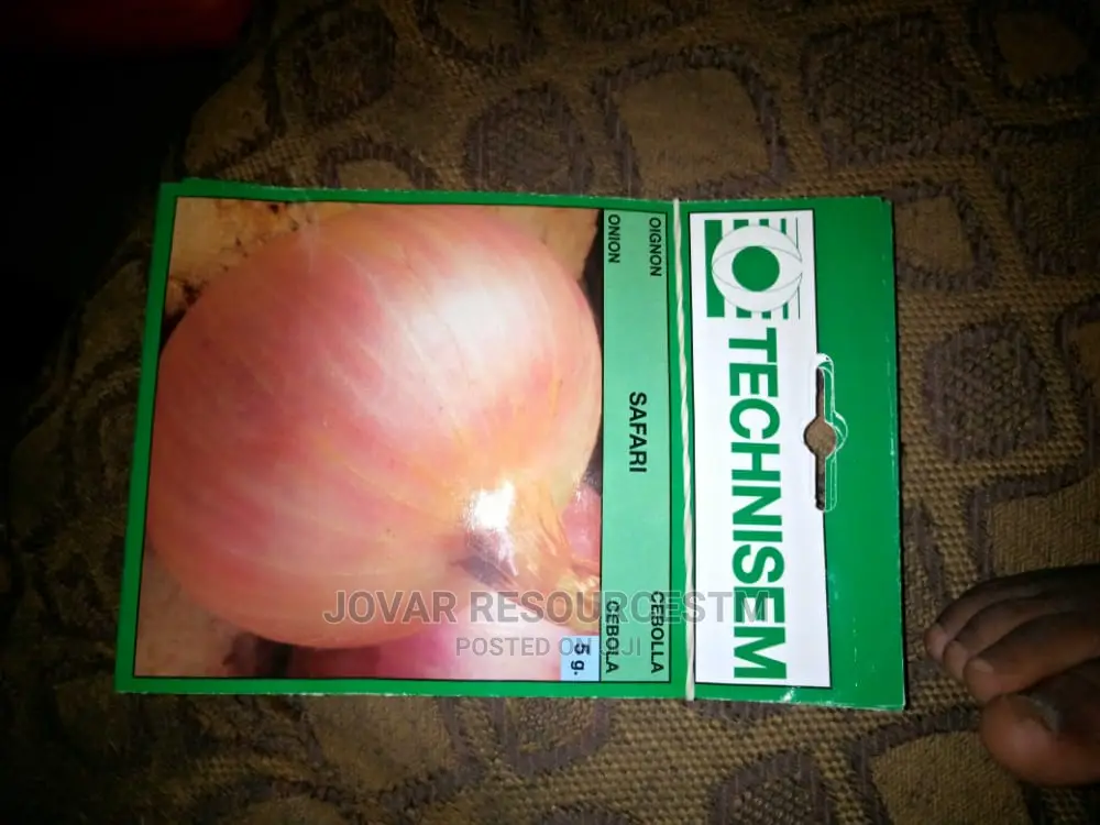 Best Onion Seeds