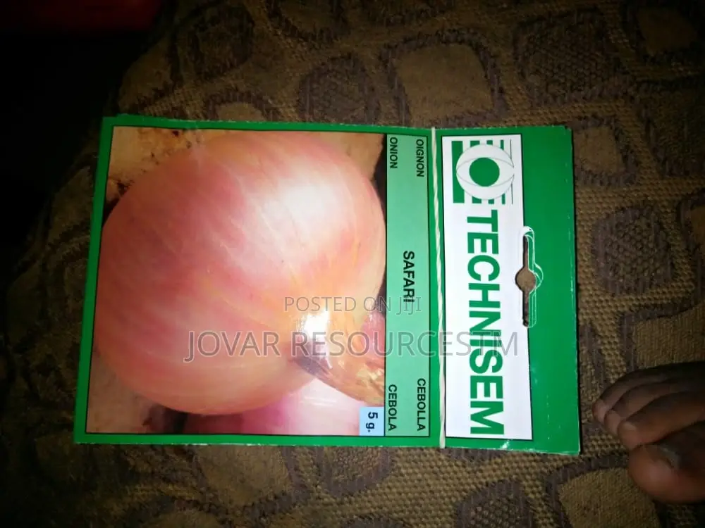 Best Onion Seeds