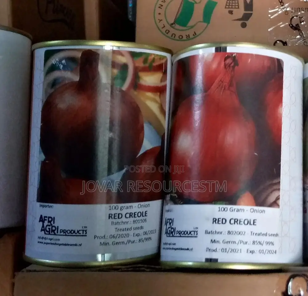 Best Onion Seeds