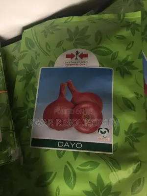 Best Onion Seeds