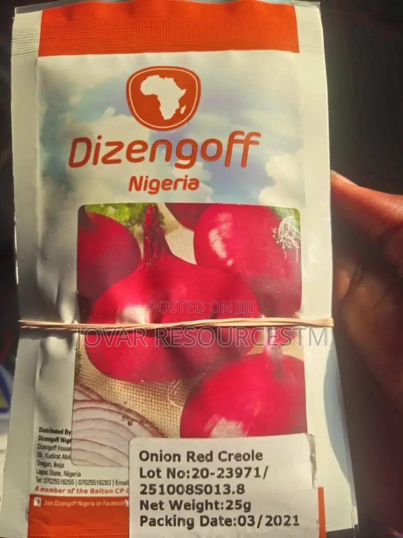 Best Onion Seeds