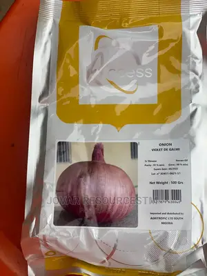 Best Onion Seeds