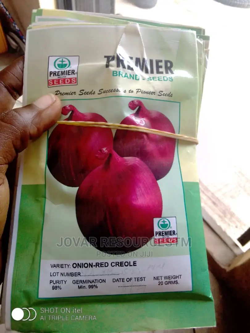 Best Onion Seeds