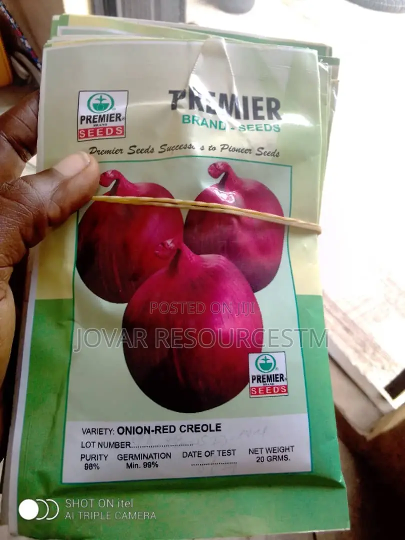 Best Onion Seeds