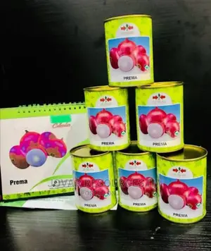Best Onion Seeds