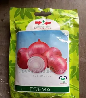 Best Onion Seeds
