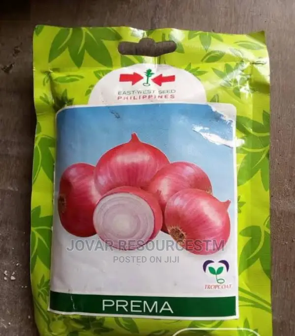 Best Onion Seeds