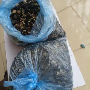 Palm Fruit Sprouted Nuts (Tenera)