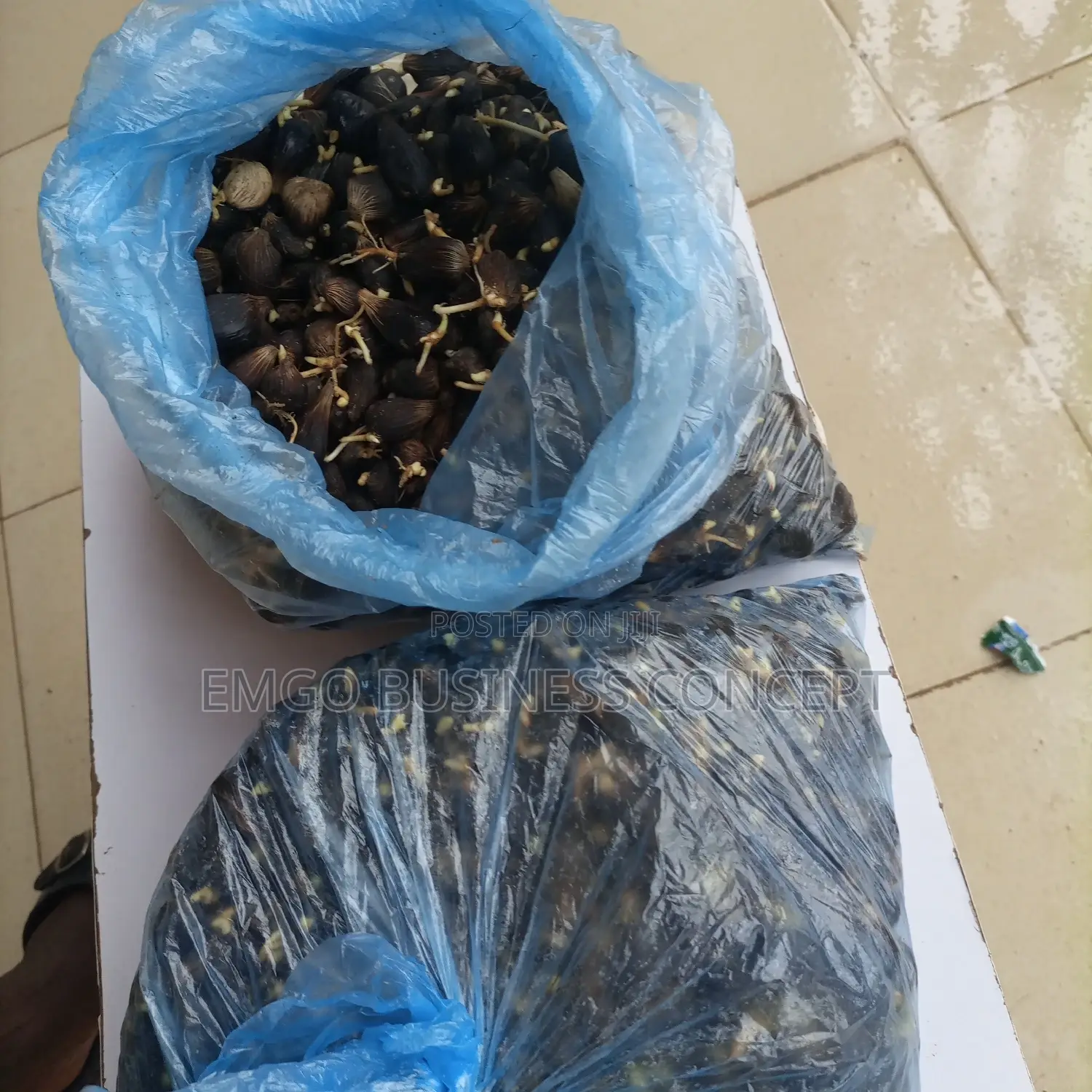 Palm Fruit Sprouted Nuts (Tenera)