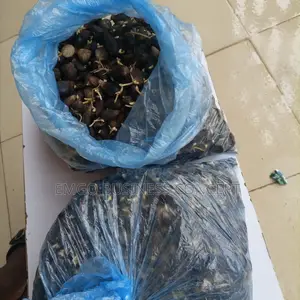 Palm Fruit Sprouted Nuts (Tenera)