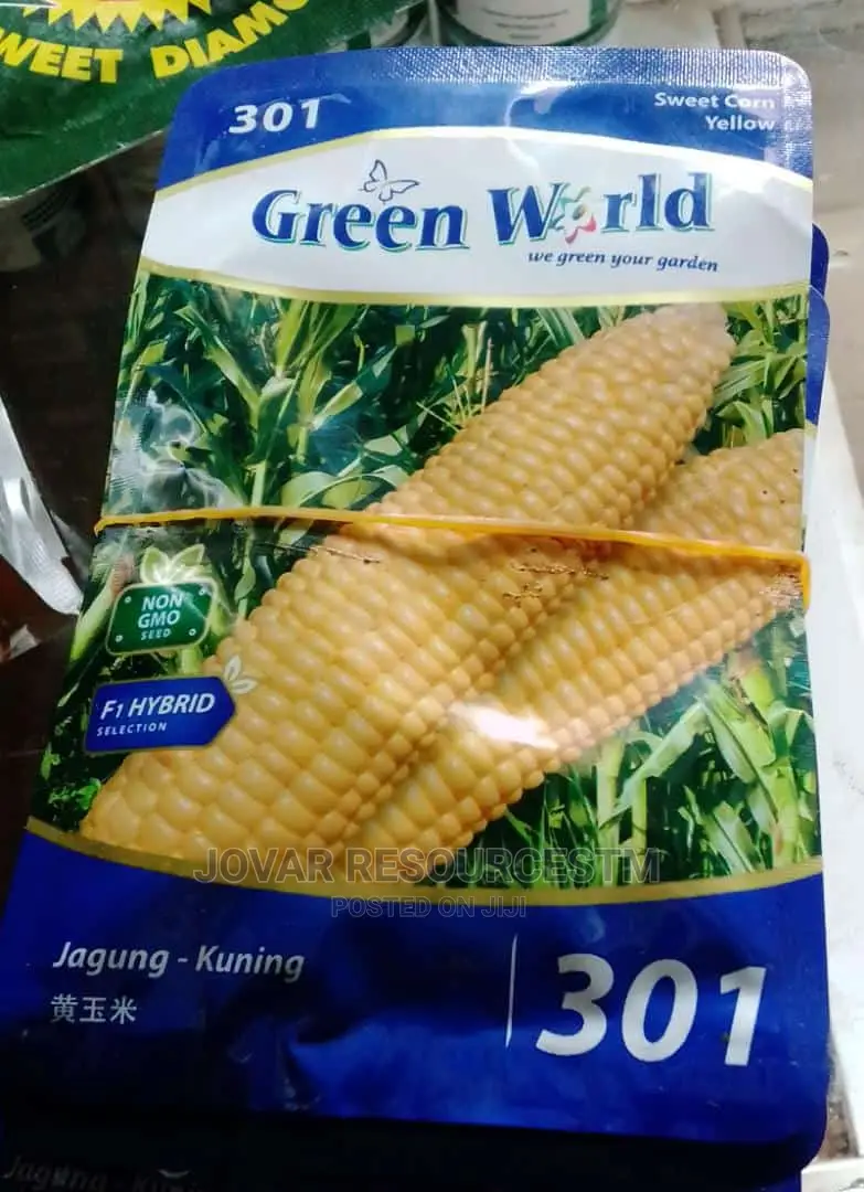 Best Sweet Corn Seeds