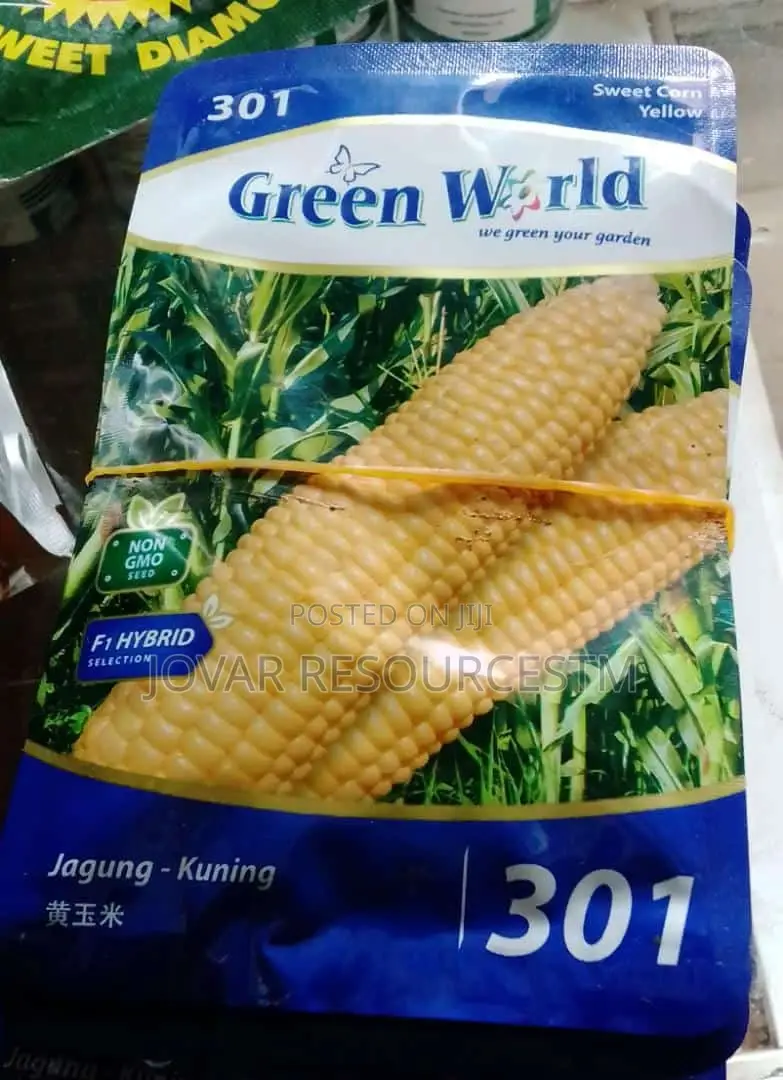 Best Sweet Corn Seeds