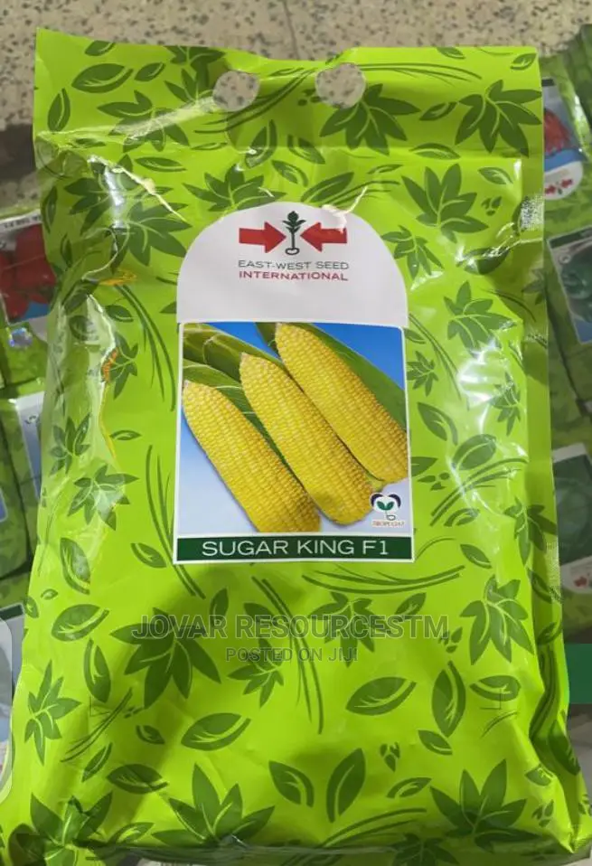 Best Sweet Corn Seeds