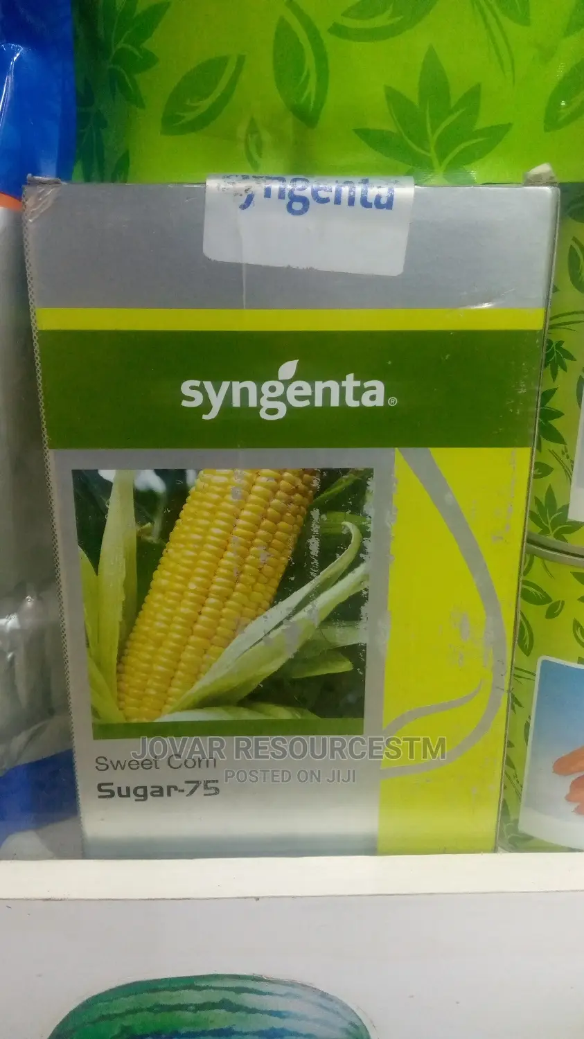 Best Sweet Corn Seeds