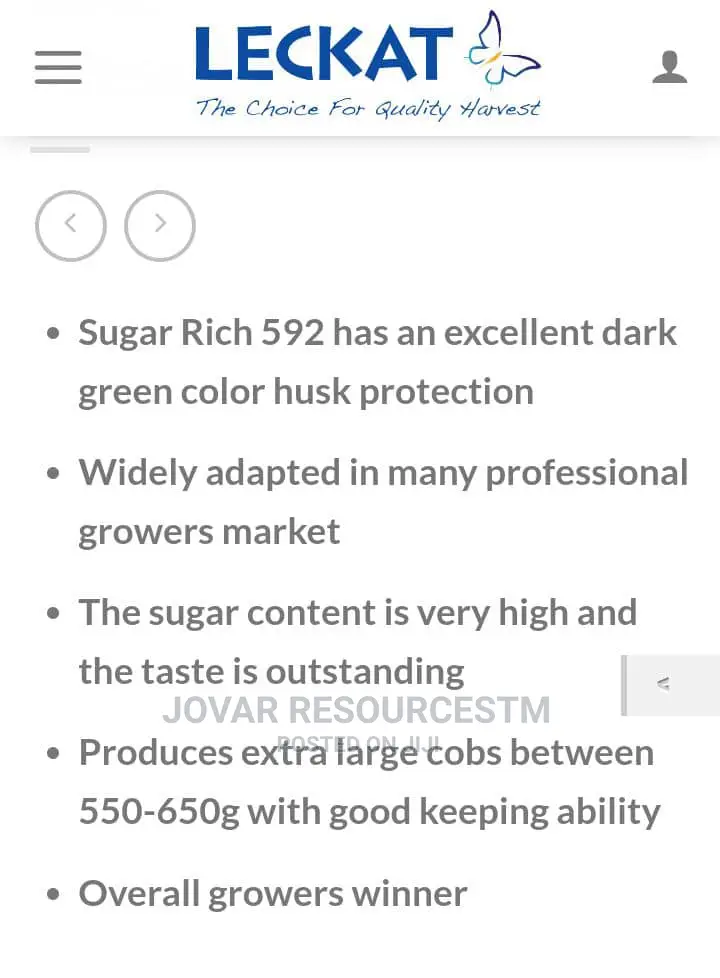 Best Sweet Corn Seeds