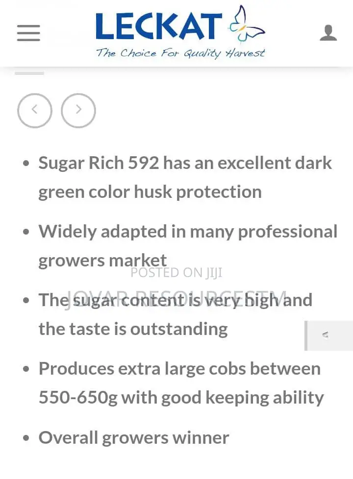 Best Sweet Corn Seeds