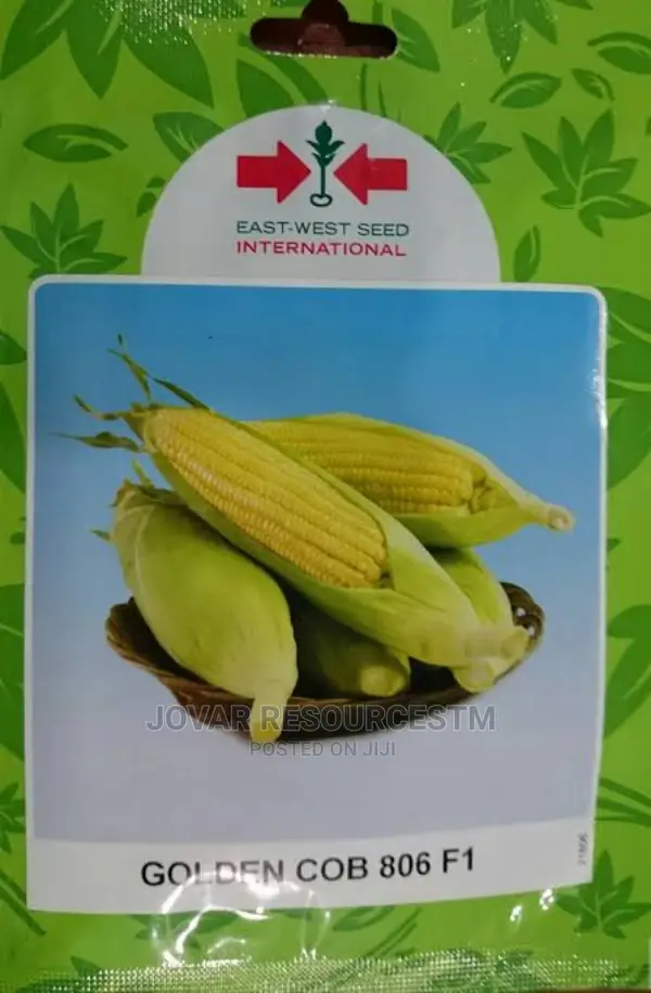 Best Sweet Corn Seeds
