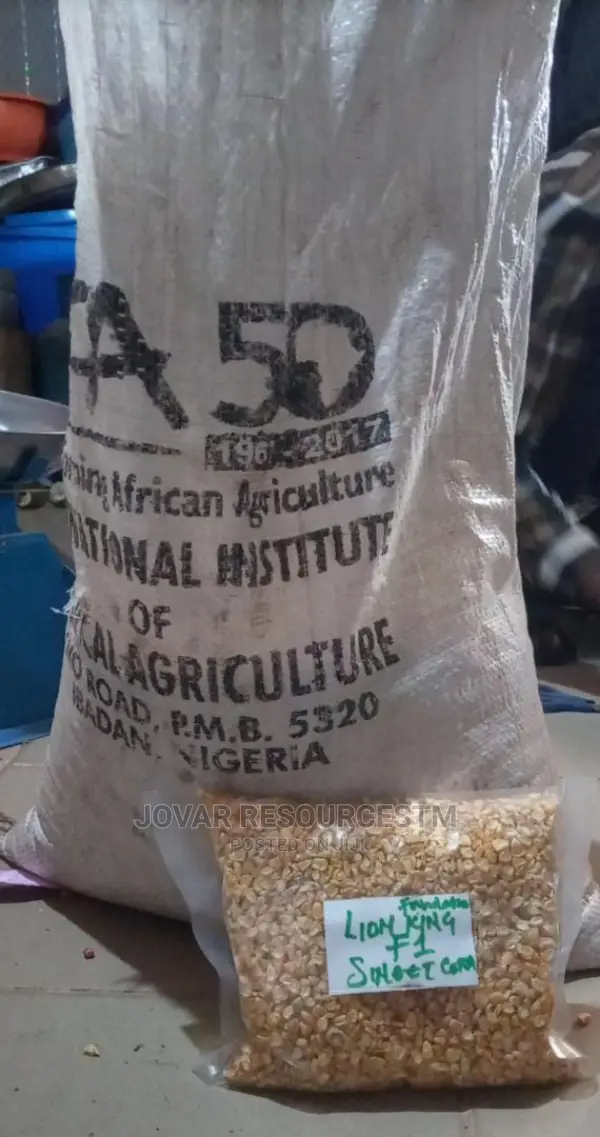 Best Sweet Corn Seeds